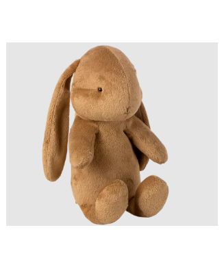 copy of Hase mit Nachthemd
